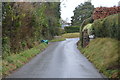 SY0187 : Lane in Woodbury by N Chadwick