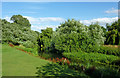 SK2602 :  Abbey Green Park in Polesworth, Warwickshire by Roger  Kidd