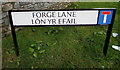 Bilingual name sign Forge Lane/L?n yr Efail, Pontypool