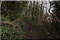 Public footpath off Campsall Road, Askern