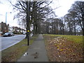 Footpath along Swanshurst Lane, Billesley