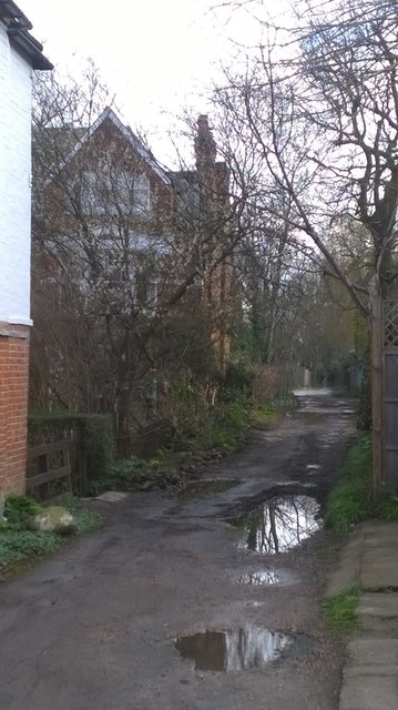 Crouch End Country Lane