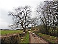 ST5144 : Hay Moor Drove by Roger Cornfoot