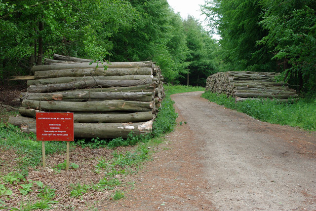 Timber stacks