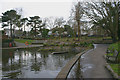 Lake in Southchurch Hall Gardens, Southend