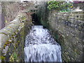 Bradley Park Dike at Anchor Pit Lock, Bradley / Rastrick