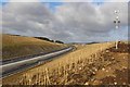 Aberdeen Western Peripheral Route (AWPR) near Milltimber