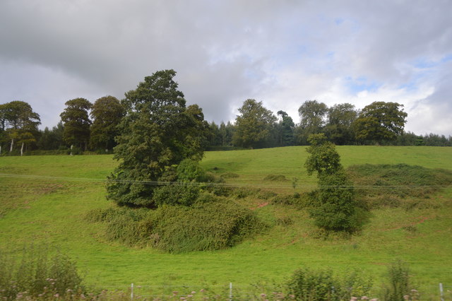 A Devon hillside