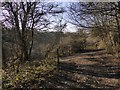 Bridleway junction near Bachelor