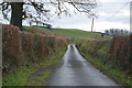 Lane to Petertavy Cross