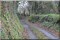 SX5076 : West Devon Way by N Chadwick