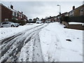 Snowy Laurel Crescent, Malpas, Newport