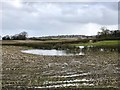 Flooded field near Halmer End