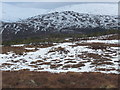 NH2222 : Forest edge above Glen Affric by ian shiell