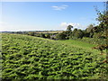 Bembury Farm, Thornford