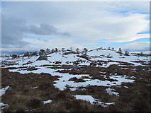 NH2322 : Knolls of Meall Dubh above Glen Affric by ian shiell