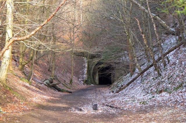 Western portal, Neidpath tunnel