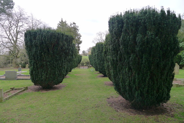 Yew avenue, Manton Cemetery, Cemetery Lane, Manton