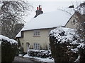 Okeford Fitzpaine: thatched cottage on Greenhayes