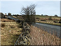 Whalley Old Road (looking Northwards)