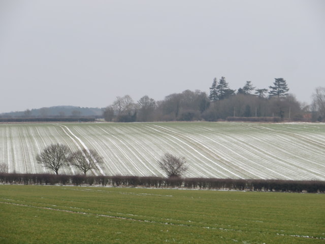A dusting of snow on the fields near Anmer in Norfolk