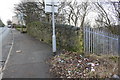 Litter beside Park Lane pavement