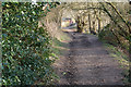 Riverside path at Bewdley