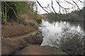 Small brook joining the Severn