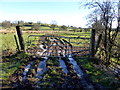 Frosty and muddy entrance to a field, Tullanafoile