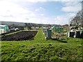 Portishead, allotments