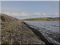 S6914 : Great Island, Co. Wexford Embankment by Redmond O'Brien