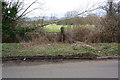 Disused gateway for field entrance from Binsey Lane