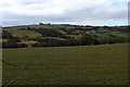 View over the Showley Brook Valley