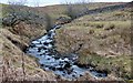 Cleugh Burn