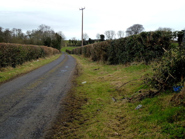 Connaghty Road, Mountjoy Forest West Division