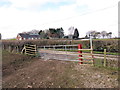 Llwybr ger Derwen / Path near Derwen