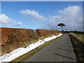 Snowdrift remnants, Nemphlar Road