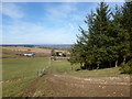 Track above Hillend Cottage