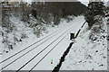 Railway lines in the snow, Torre