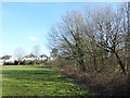 Field at the foot of Haste Hill