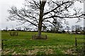 Odell: Small field in Church Lane