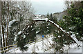 Snow-laden branch near the Rainbow, Torquay