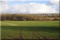 SP2851 : Farmland and Walton Wood by Philip Halling