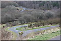 Tracks in Parc Penallta Country Park