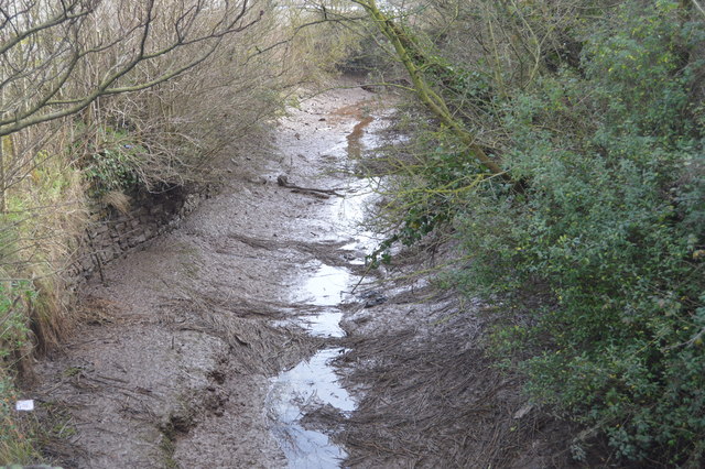 Creek to River Clyst