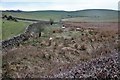 Rough pasture at Peathill