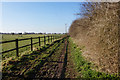 Viking Way at Low Farm, Barnetby le Wold