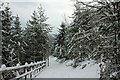 Snowy cycle path, Torre