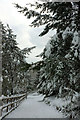 Snowy cycle path, Torre