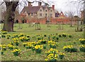 SP1772 : Looking across the orchard to Packwood House by Steve Daniels